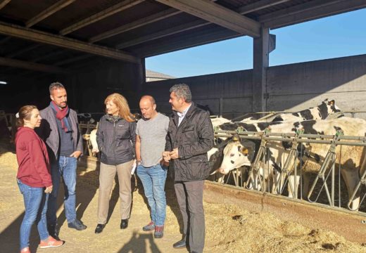 As axudas da PAC para agricultores e gandeiros mobilizaron o ano pasado en Mazaricos 3,4 m€ en 635 explotacións
